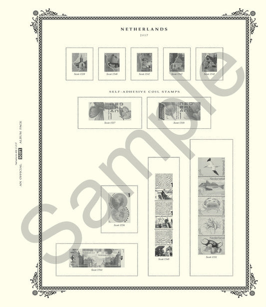 Scott Netherlands 2025 #76