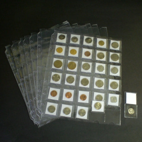 100 - 30 Pocket Vinyl Pages