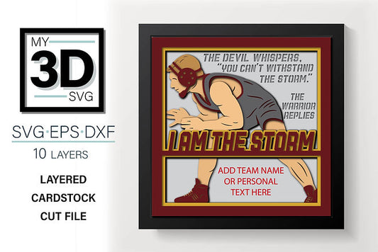 Shadow Box - Wrestling