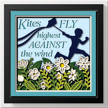 Shadow Box - Kites fly highest