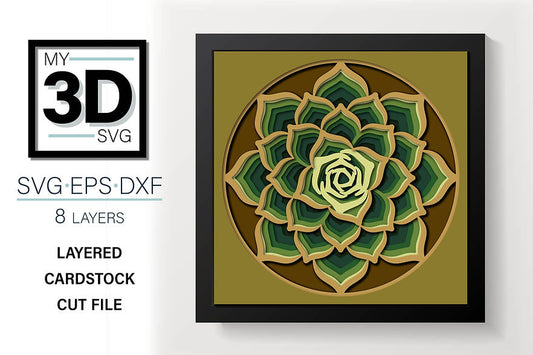 Shadow Box - Succulent Mandala