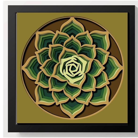 Shadow Box - Succulent Mandala