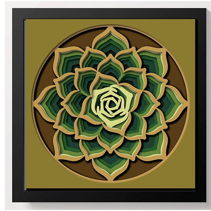 Shadow Box - Succulent Mandala