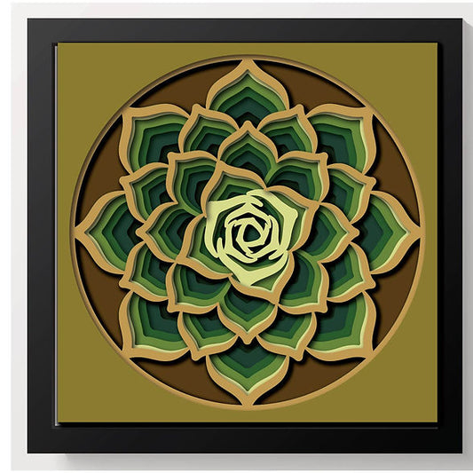 Shadow Box - Succulent Mandala