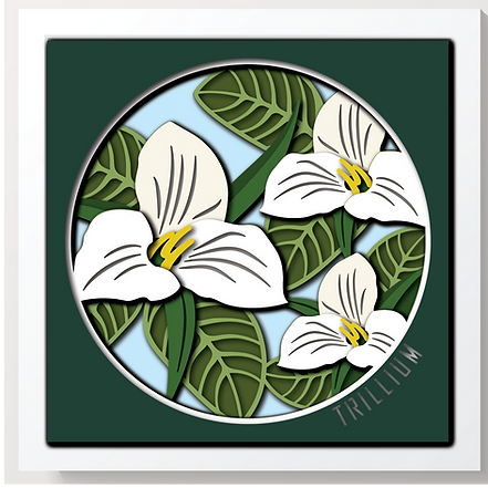 Shadow Box - Trillium