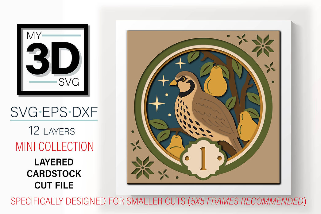 Shadow Box - A Partridge in a Pear Tree