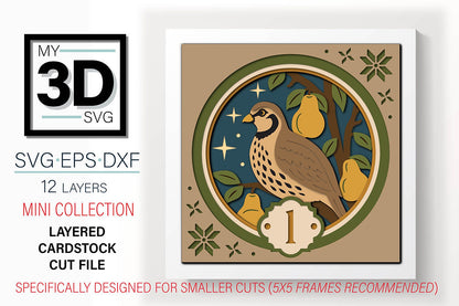 Shadow Box - A Partridge in a Pear Tree
