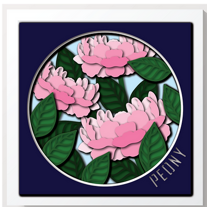 Shadow Box - Peony