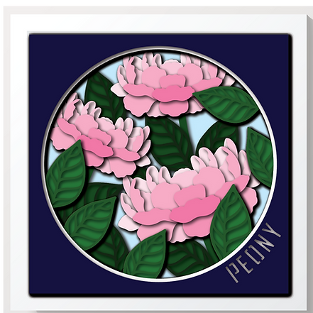 Shadow Box - Peony