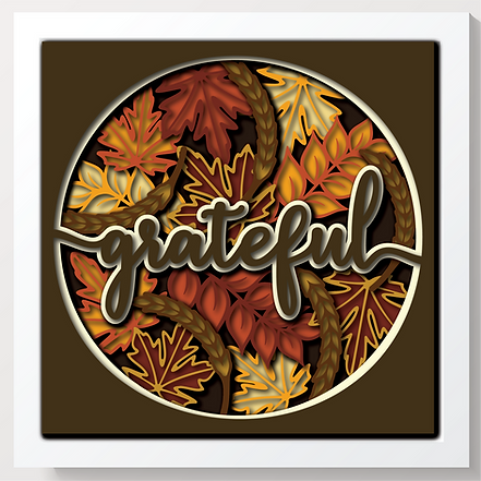 Shadow Box - Grateful