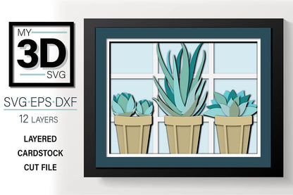 Shadow Box - Succulents In Pots
