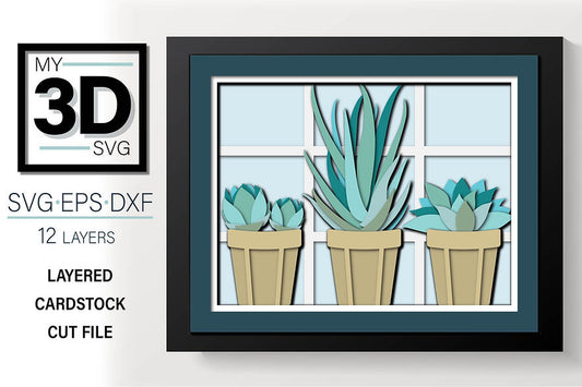 Shadow Box - Succulents In Pots