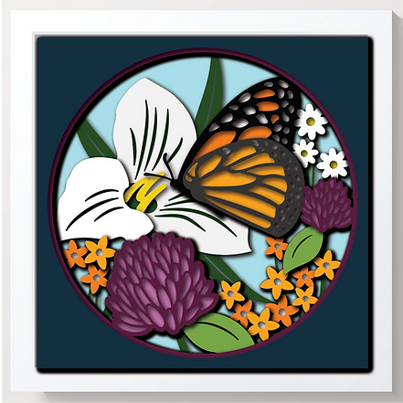 Shadow Box - Monarch On Flower