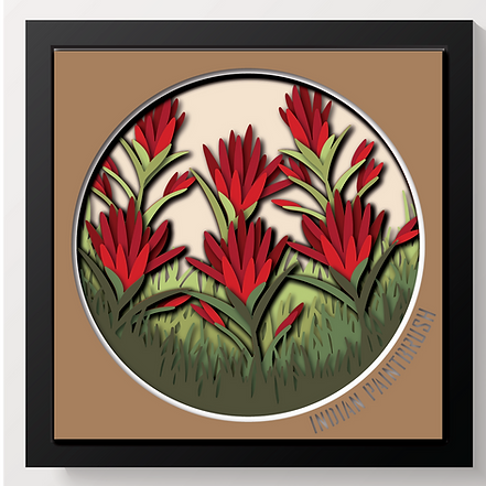 Shadow Box - Indian Paintbrush Flower