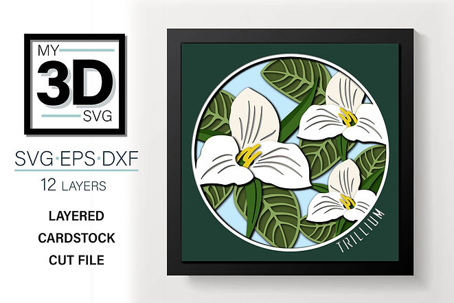 Shadow Box - Trillium
