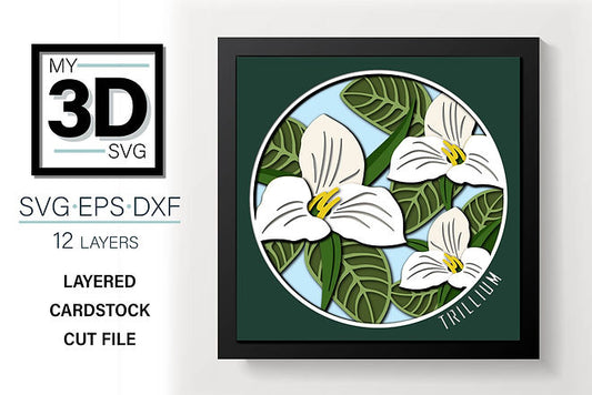 Shadow Box - Trillium