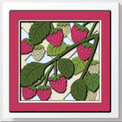 Shadow Box - Raspberry Mini