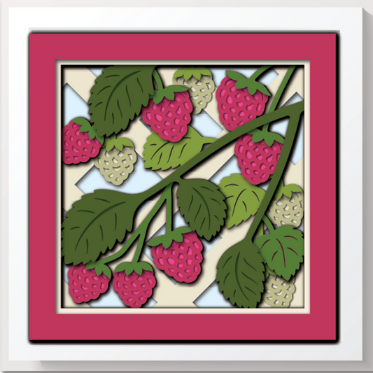 Shadow Box - Raspberry Mini