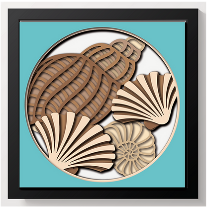 Shadow Box - Seashells