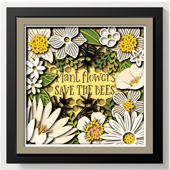 Shadow Box - Save The Bees