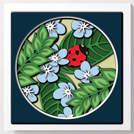 Shadow Box - Ladybug