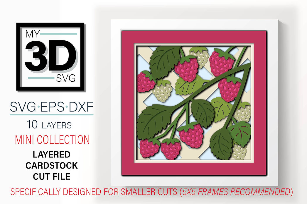 Shadow Box - Raspberry Mini