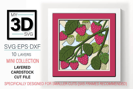Shadow Box - Raspberry Mini