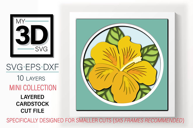 Shadow Box - Hibiscus Mini