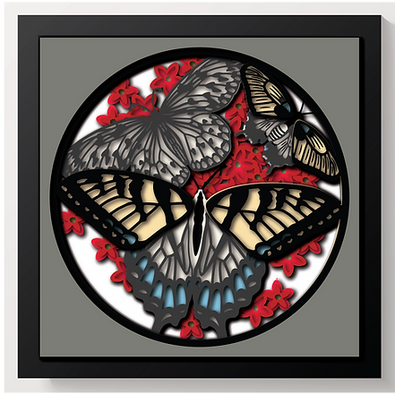 Shadow Box - More Butterflies