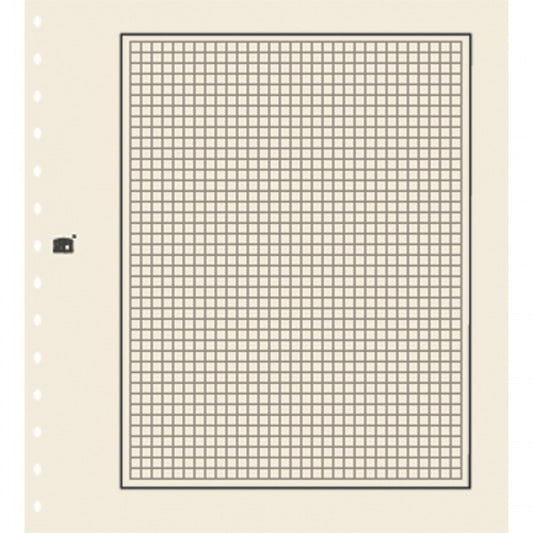 Safe Cream Blank Page With Quadrille Graphing Per 10