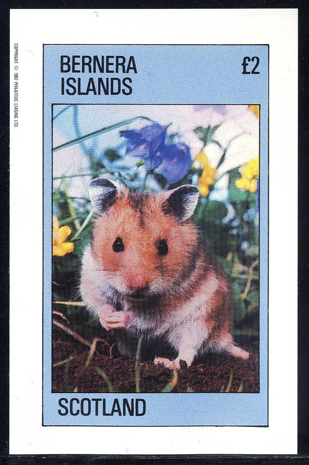 Bernera Rodents £2