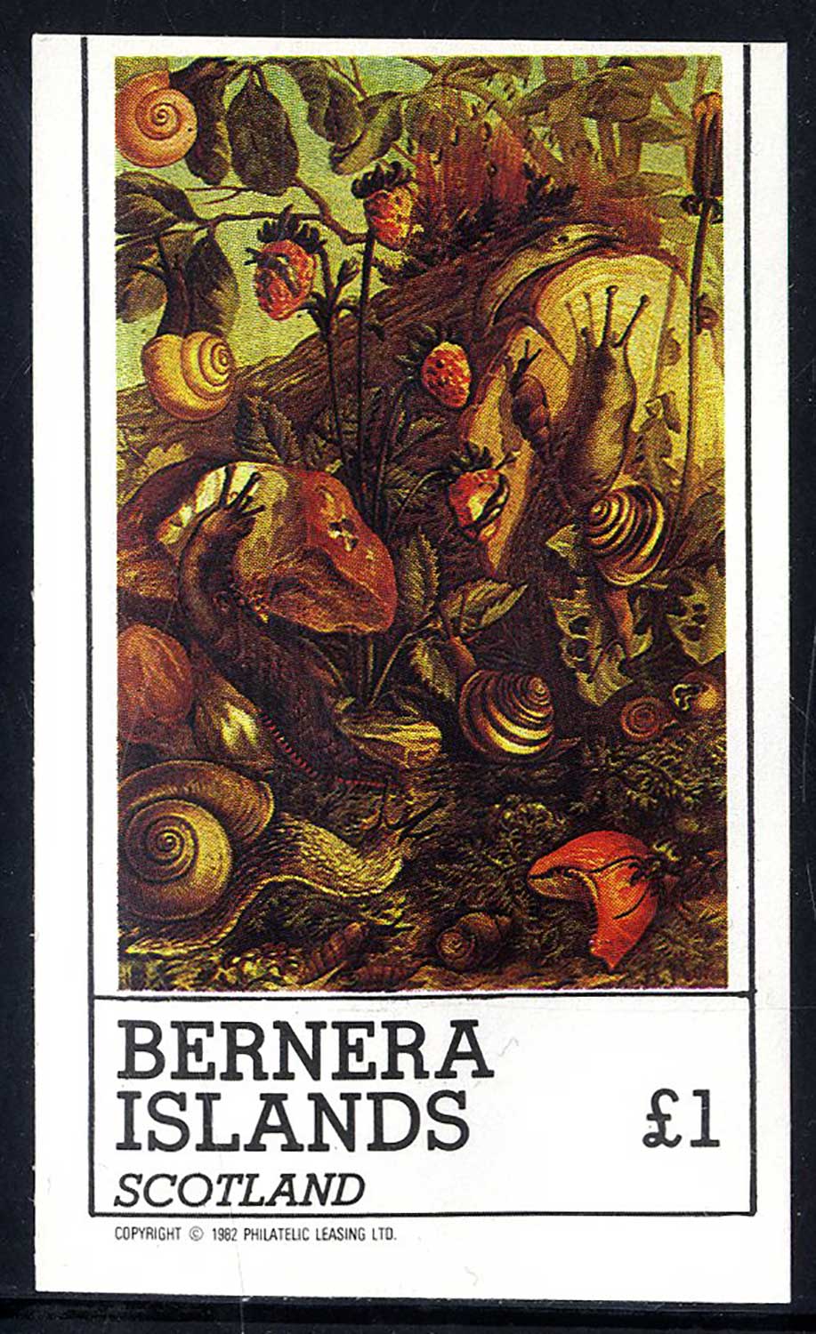 Bernera Pond Life £1