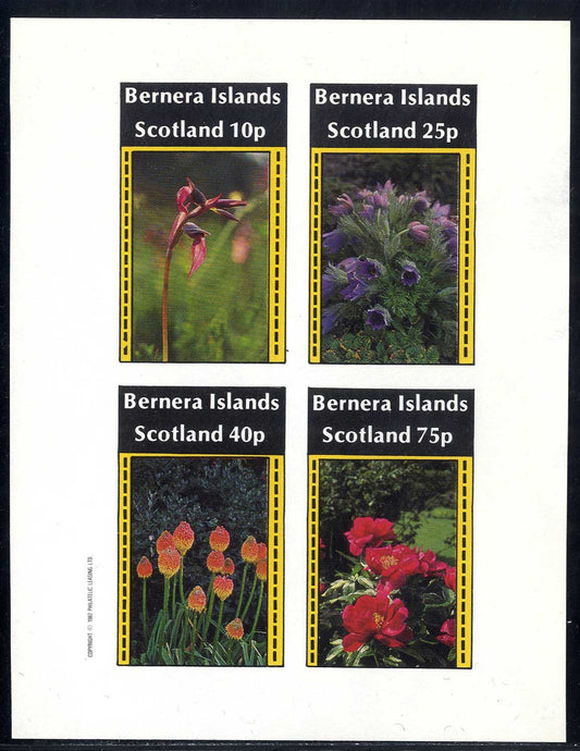 Bernera Wild Flowers Imperf