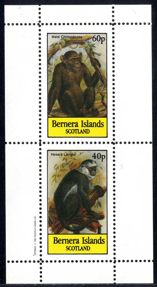 Bernera Various Monkeys