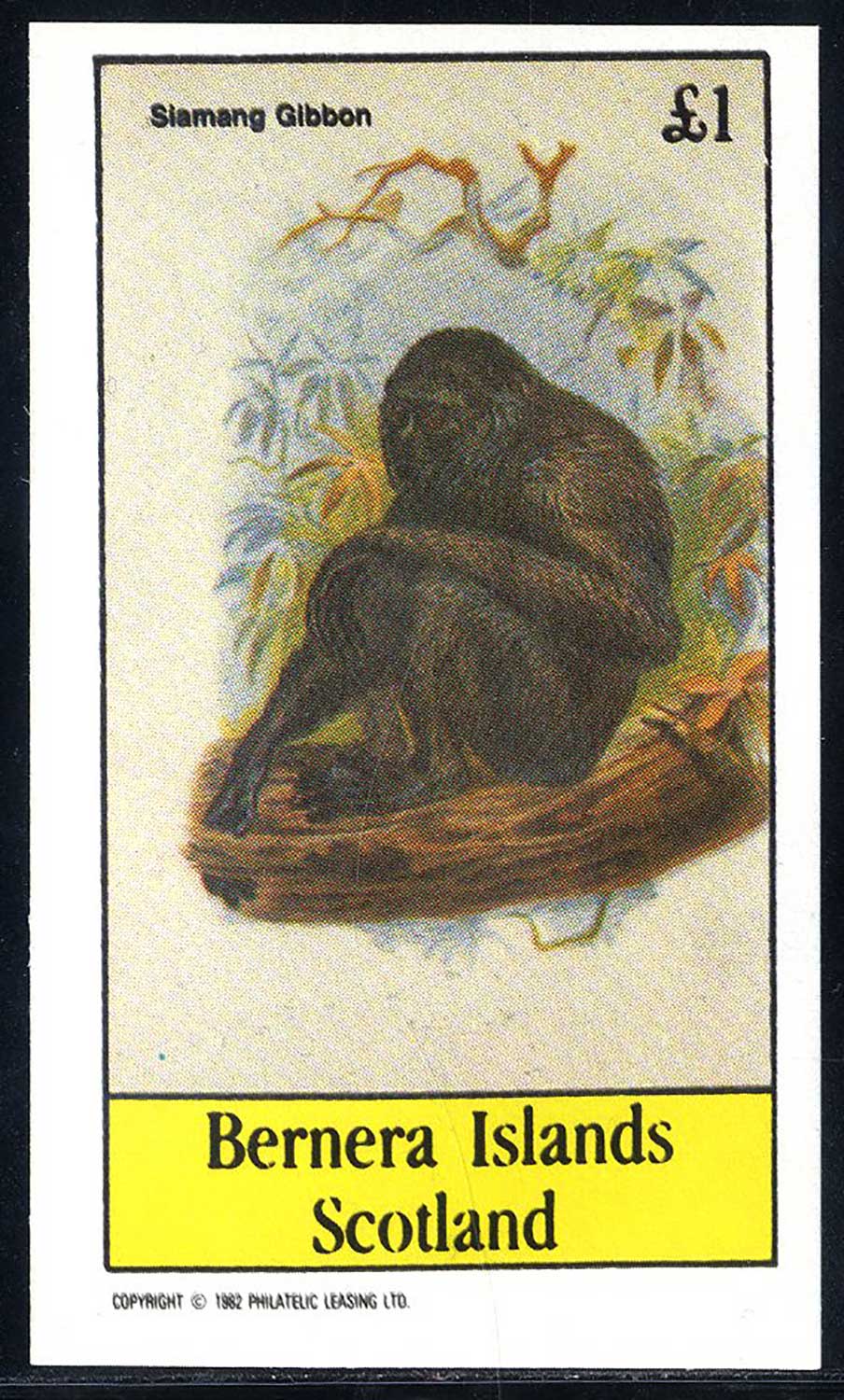 Bernera Various Monkeys £1