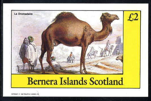 Bernera Animals Of Various Countries £2