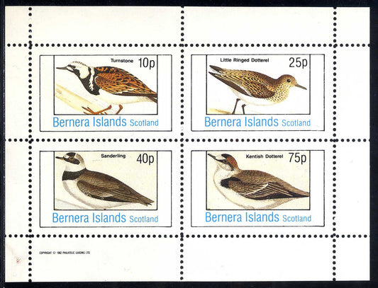 Bernera Hungary Birds