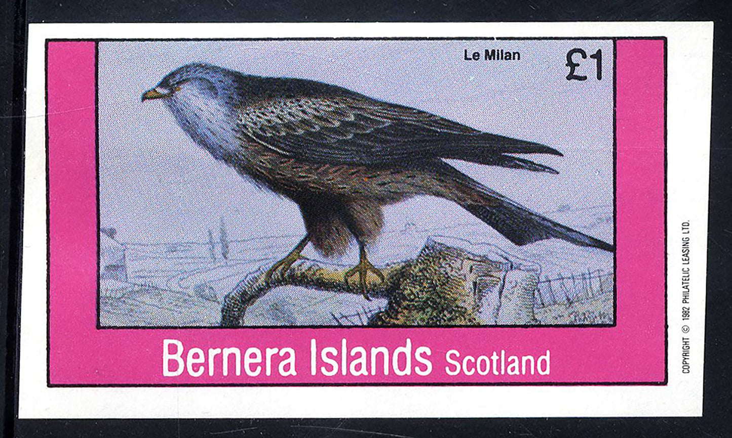 Bernera Exotic Birds I £1