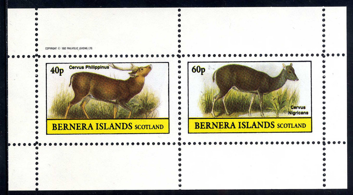 Bernera Forest Animals