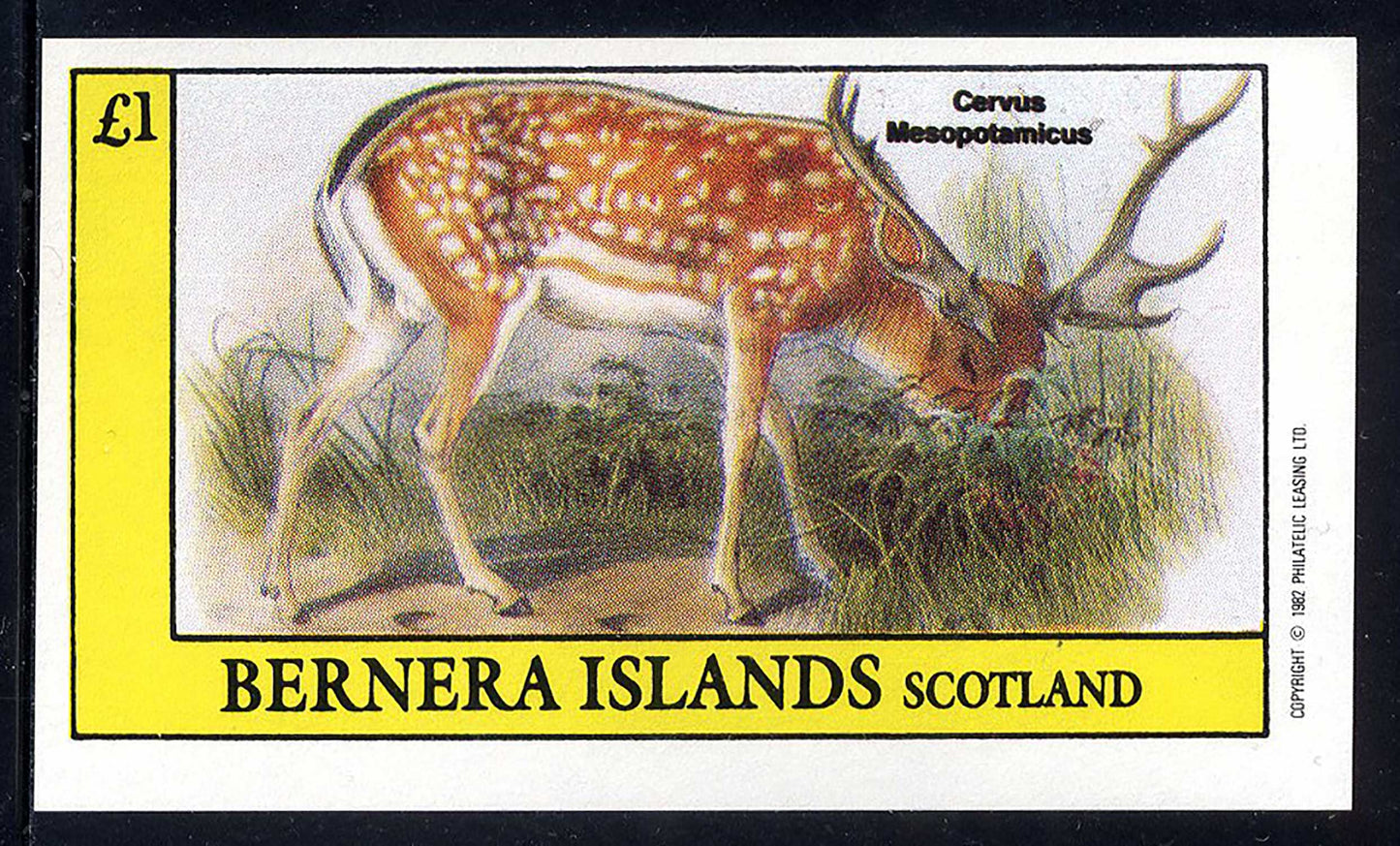 Bernera Forest Animals £1