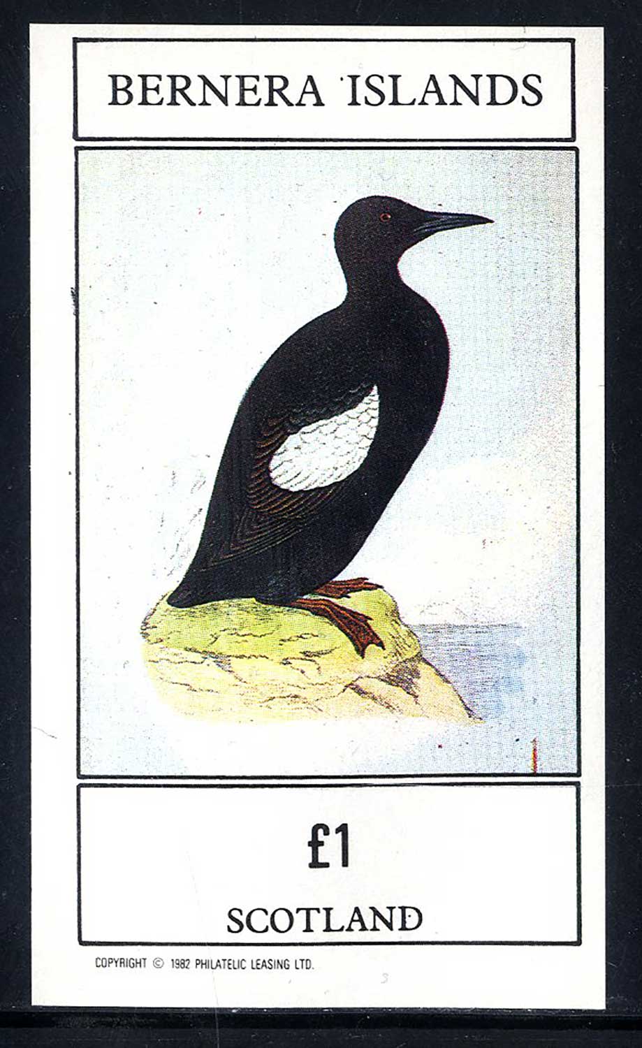 Bernera Game Birds £1