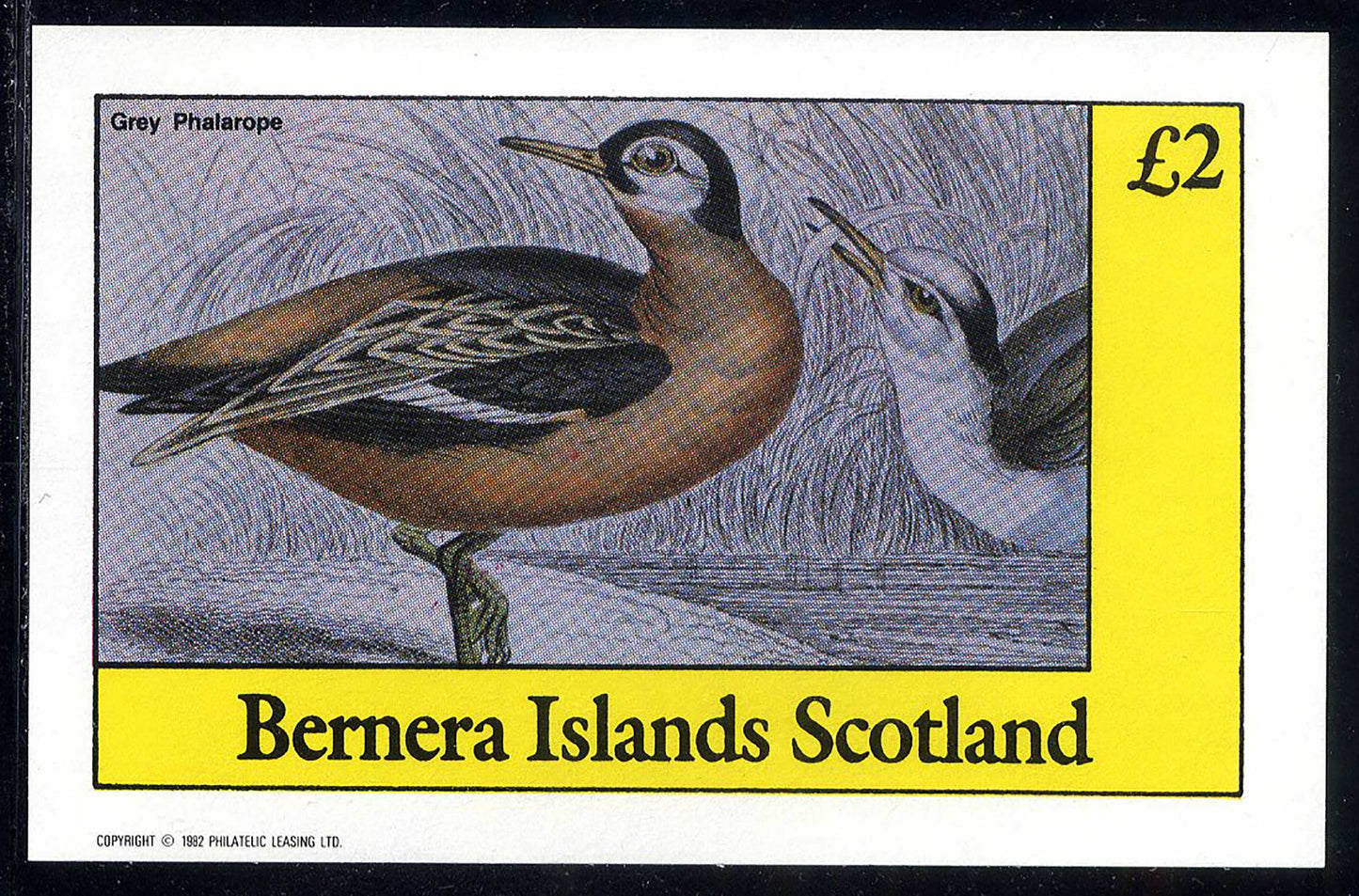 Bernera Birds Of Britain £2