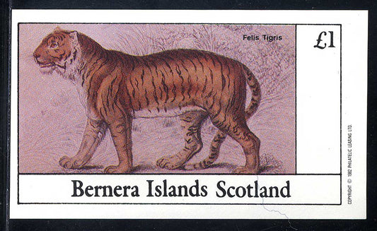 Bernera Mammalia, Lions, And Tigers  £1