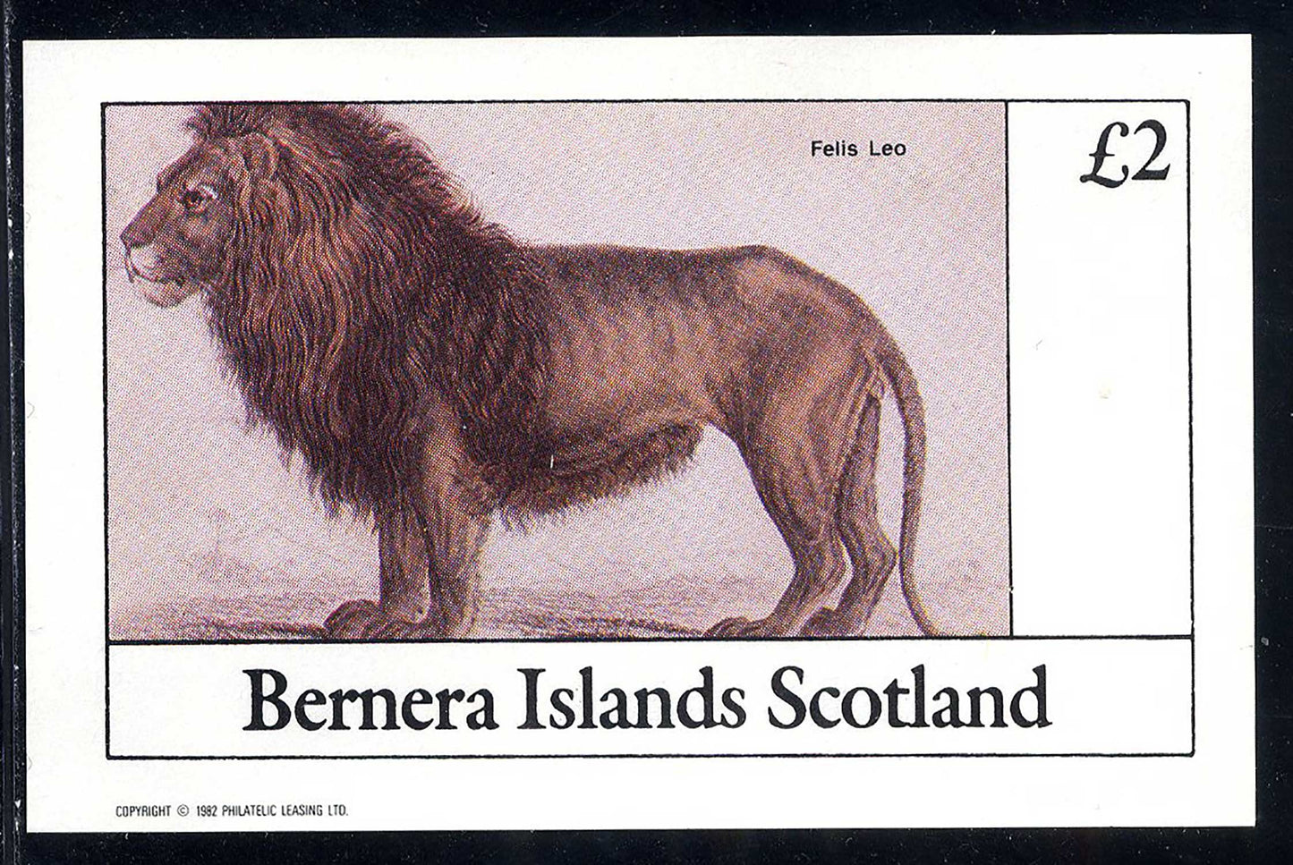 Bernera Mammalia, Lions, And Tigers  £2