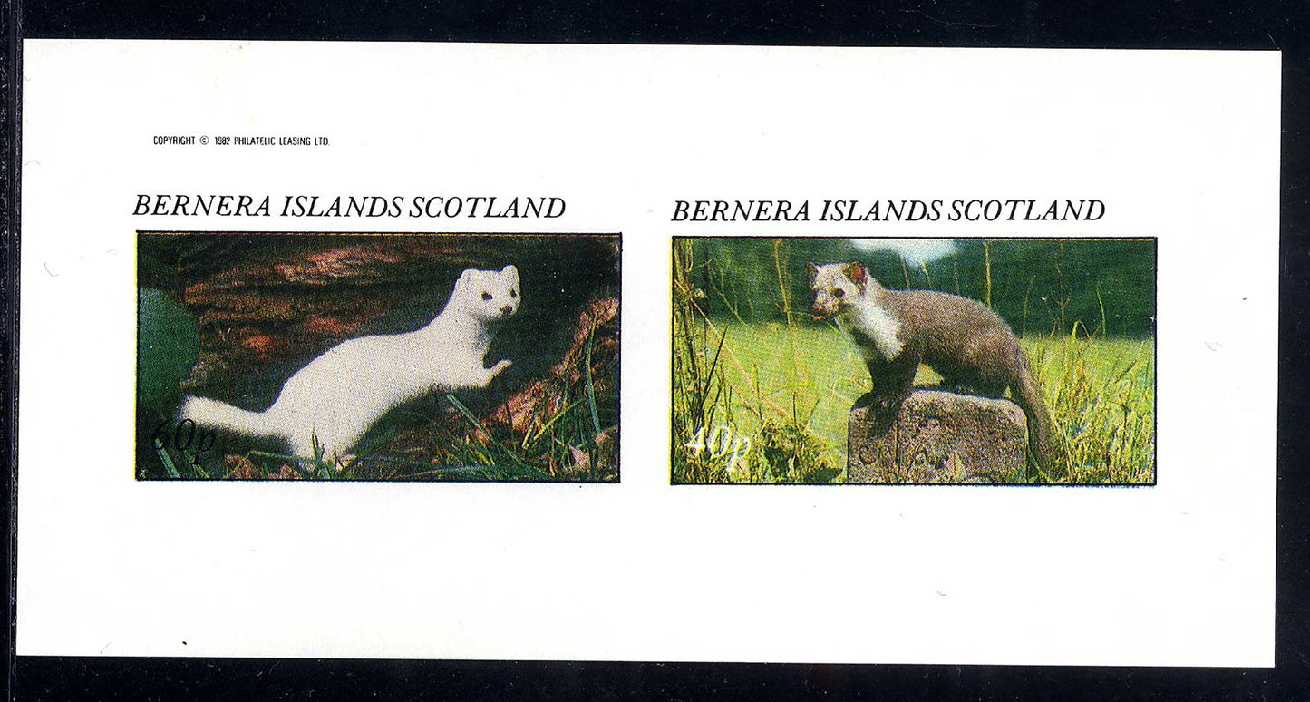 Bernera Small Mammals I Imperf