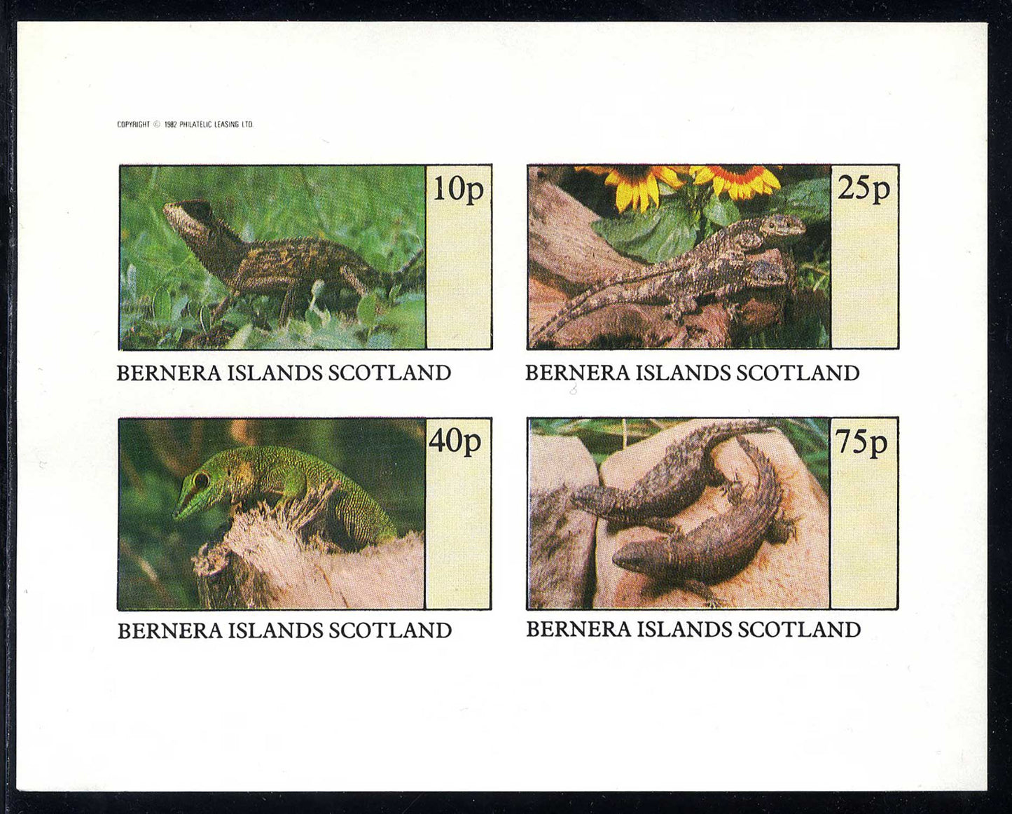 Bernera Reptiles Imperf