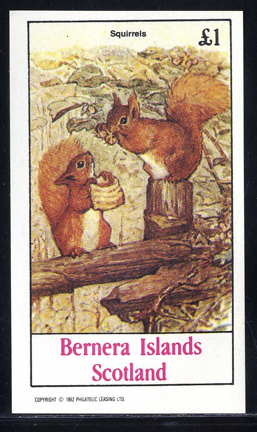 Bernera Squirrels IV £1