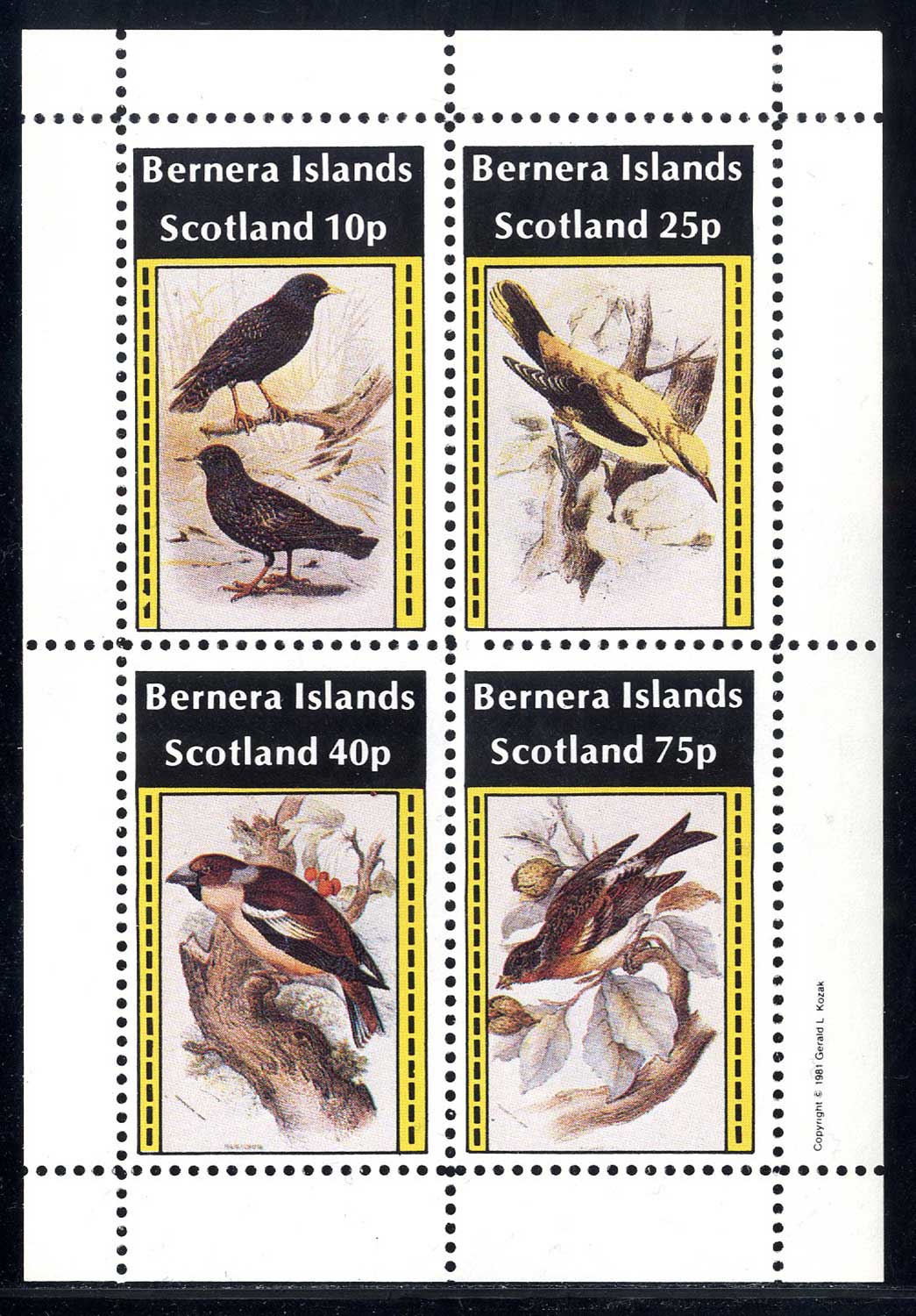 Bernera English Bird Prints