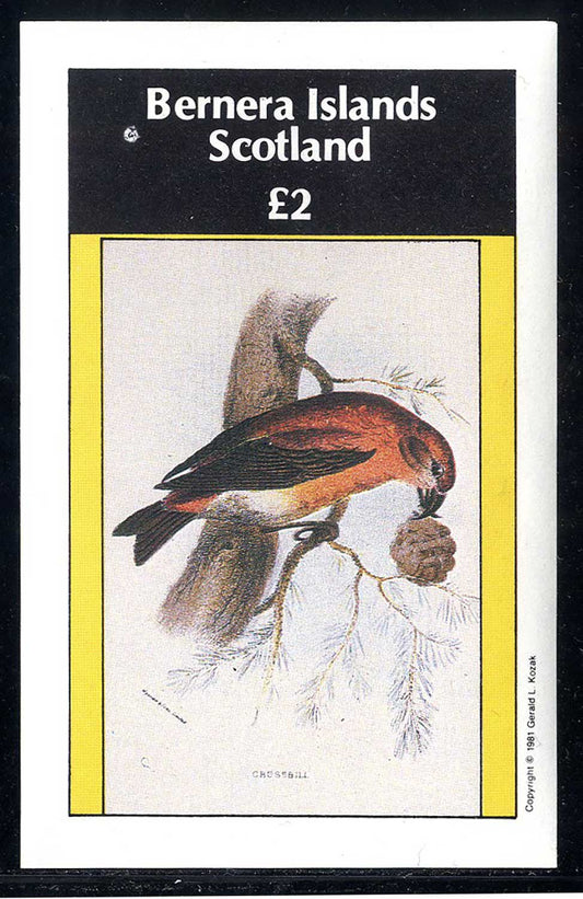 Bernera English Bird Prints £2