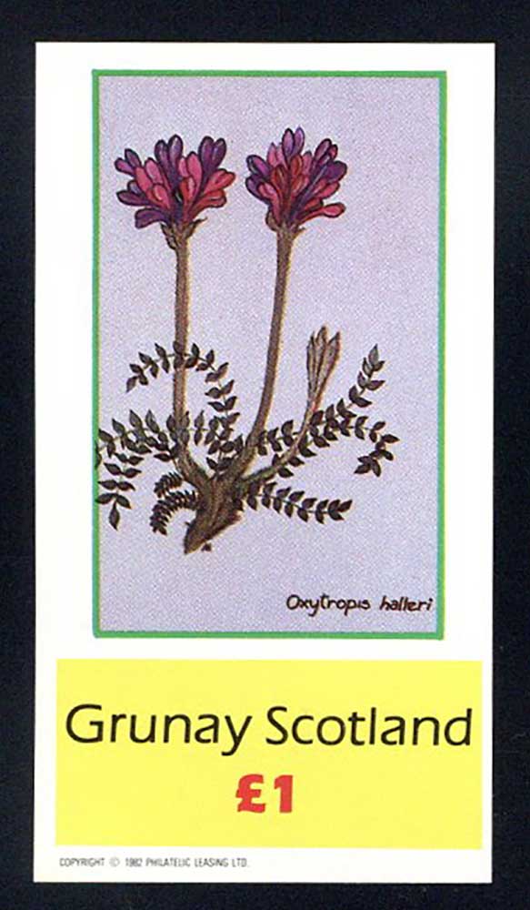 Grunay Flowers I £1